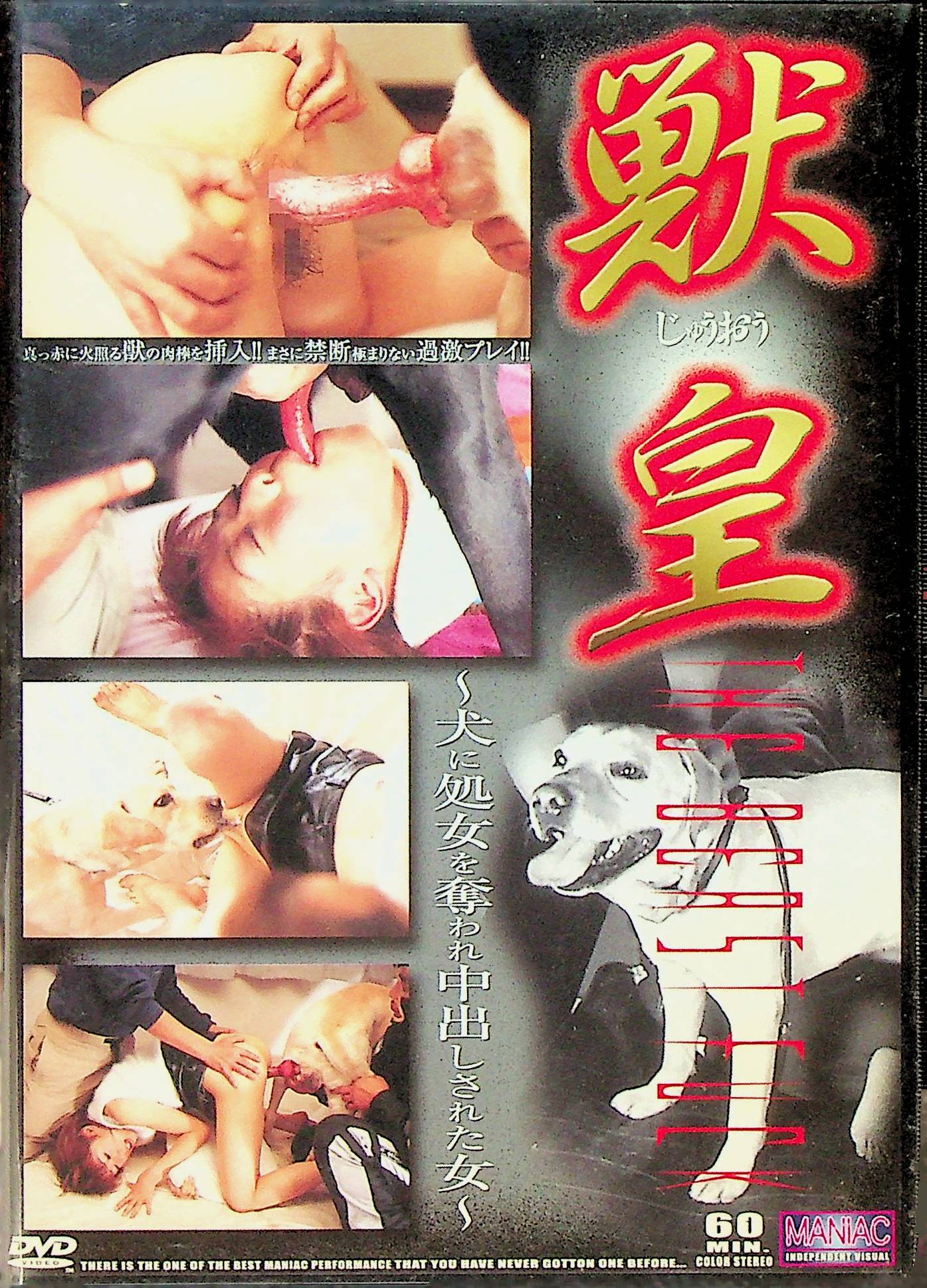 獣皇　１
