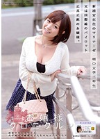 お嬢様クロニクル　９